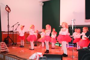 Koncert z okazji Święta Niepodległości- 10.11.2023r.