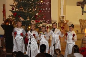 Koncert Kolęd i Pastorałek- 6.01.2026r.