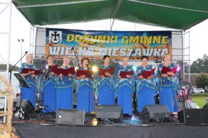 Gminne Dożynki