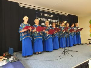Przegląd w Obrowie