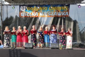 Gminne Dożynki