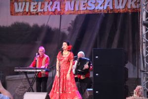 Gminne Dożynki